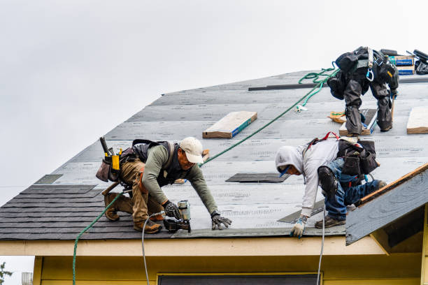 Professional Roofing technician working in Littleton, MA